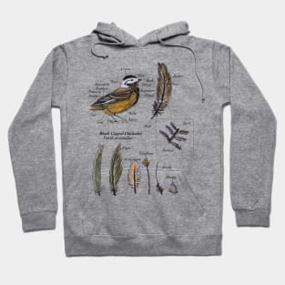 Complete Anatomy of A Black Capped Chickadee Hoodie